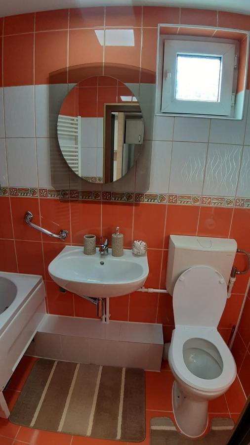 Casa Ultracentral Suceava Villa Екстериор снимка